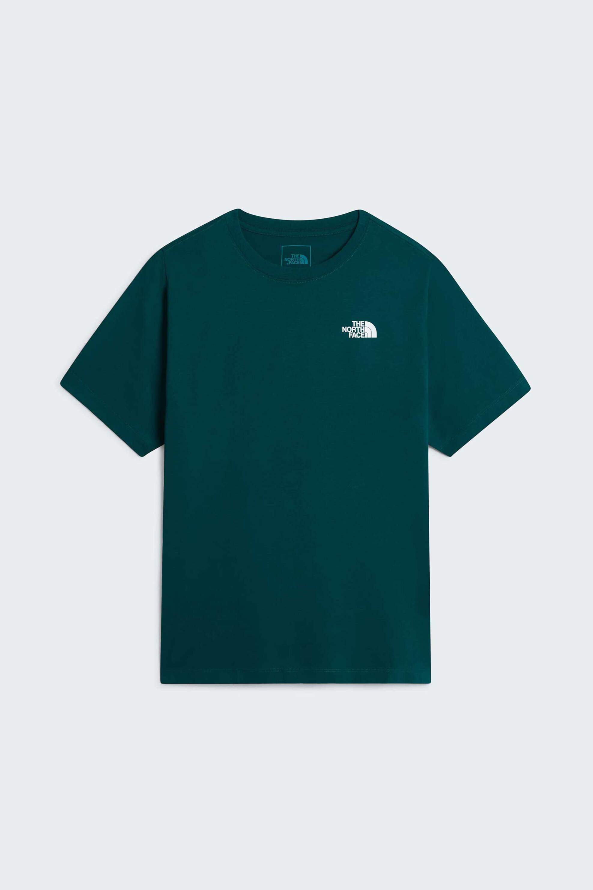 The North Face Ανδρικό T-Shirt Regular Fit Evolution Nse Box - Nf0A8B6Kn4J1 Πετρόλ