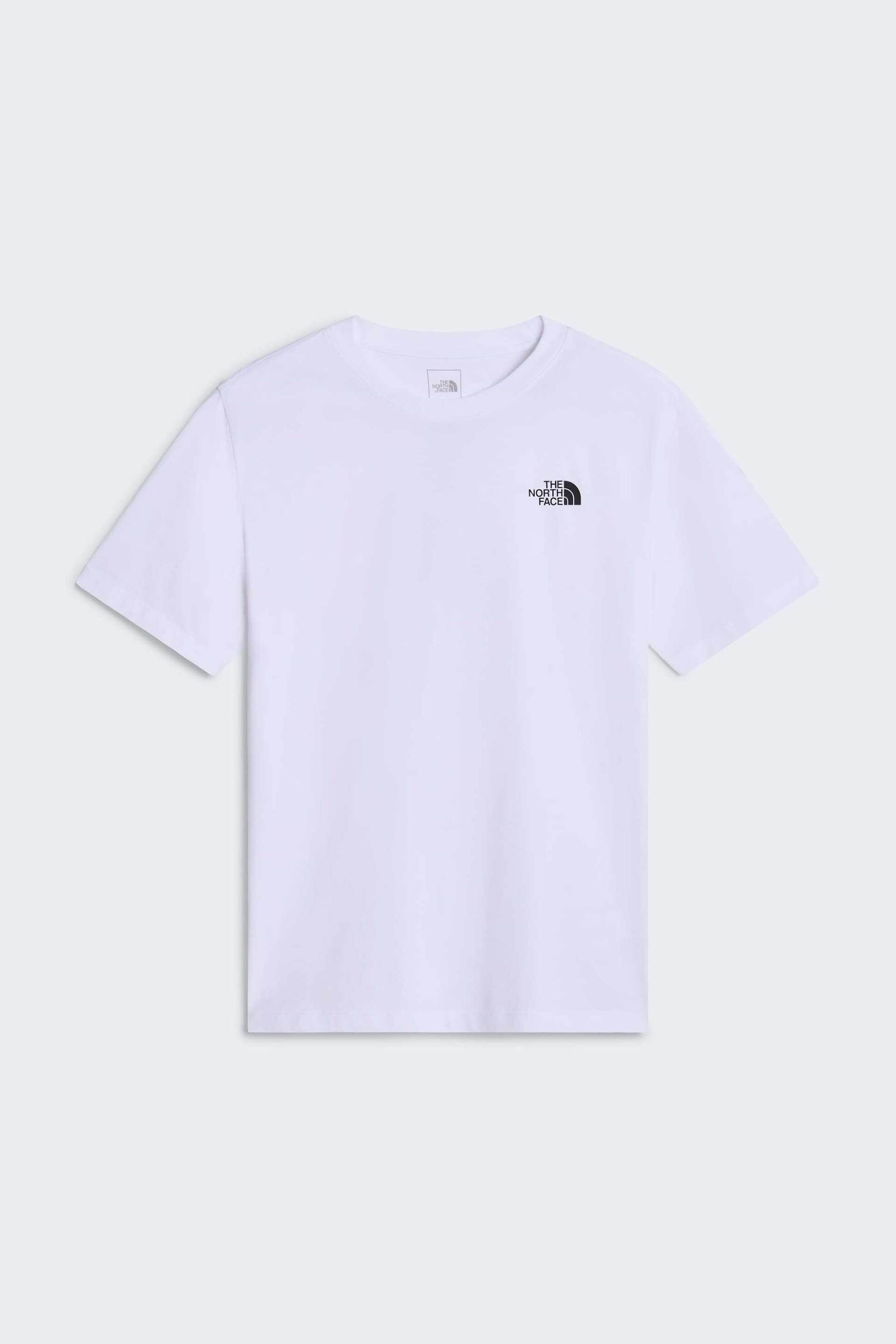 The North Face Ανδρικό T-Shirt Regular Fit Vertical Graphic - Nf0A8Jppfn41 Λευκό