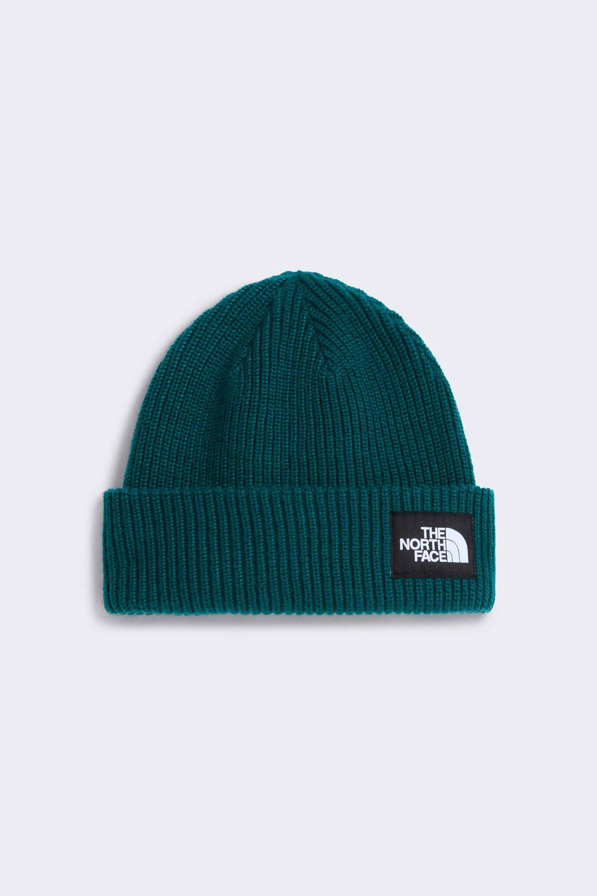 The North Face unisex σκούφος με λογότυπο "Salty Lined" - NF0A8CGZN4J1 Πετρόλ