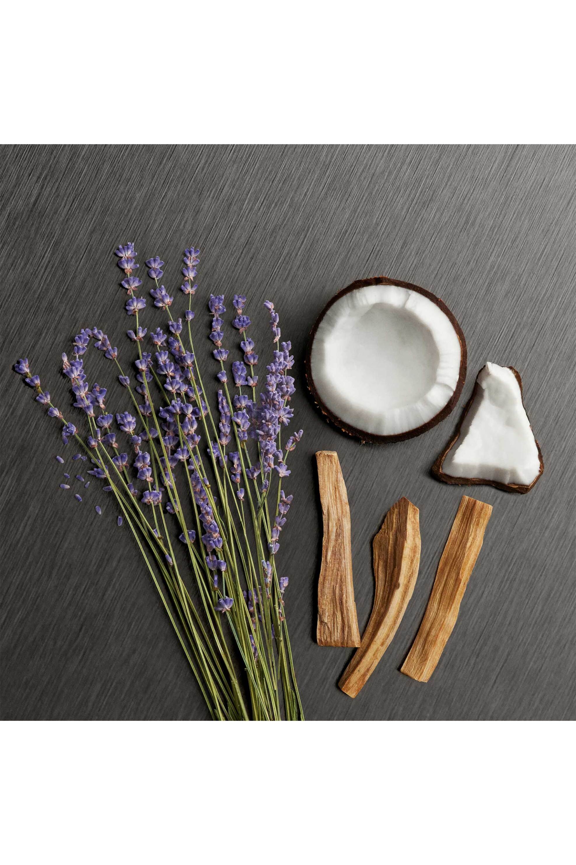 Calvin Klein Eternity Aromatic Essence For Women Eau de Parfum - 8571058024 φωτογραφία