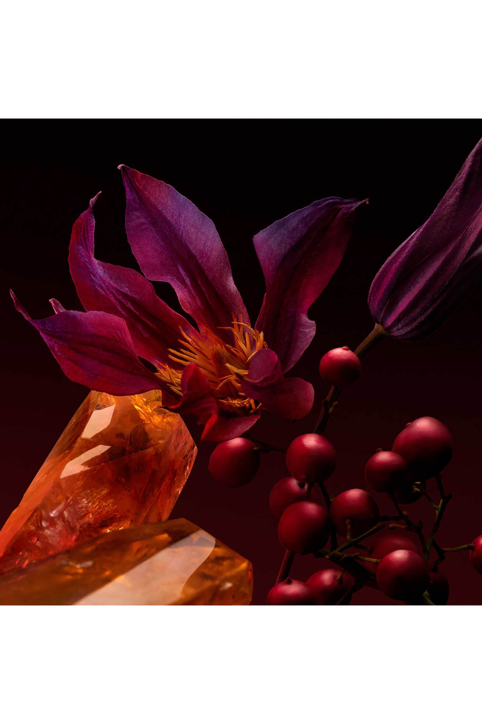 Boss The Scent Elixir Parfum Intense For Her φωτογραφία