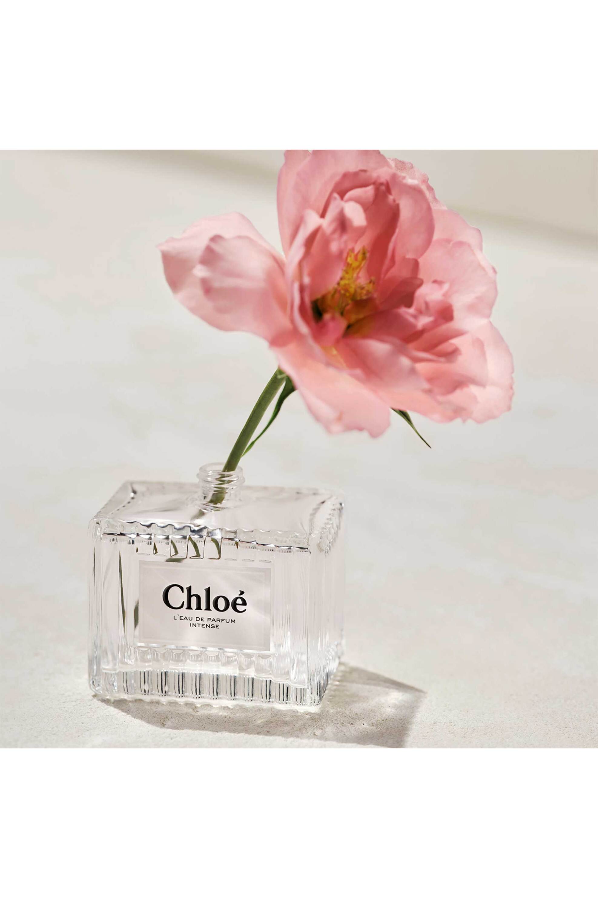 Chloé L'Eau de Parfum Intense - 8571058555 φωτογραφία