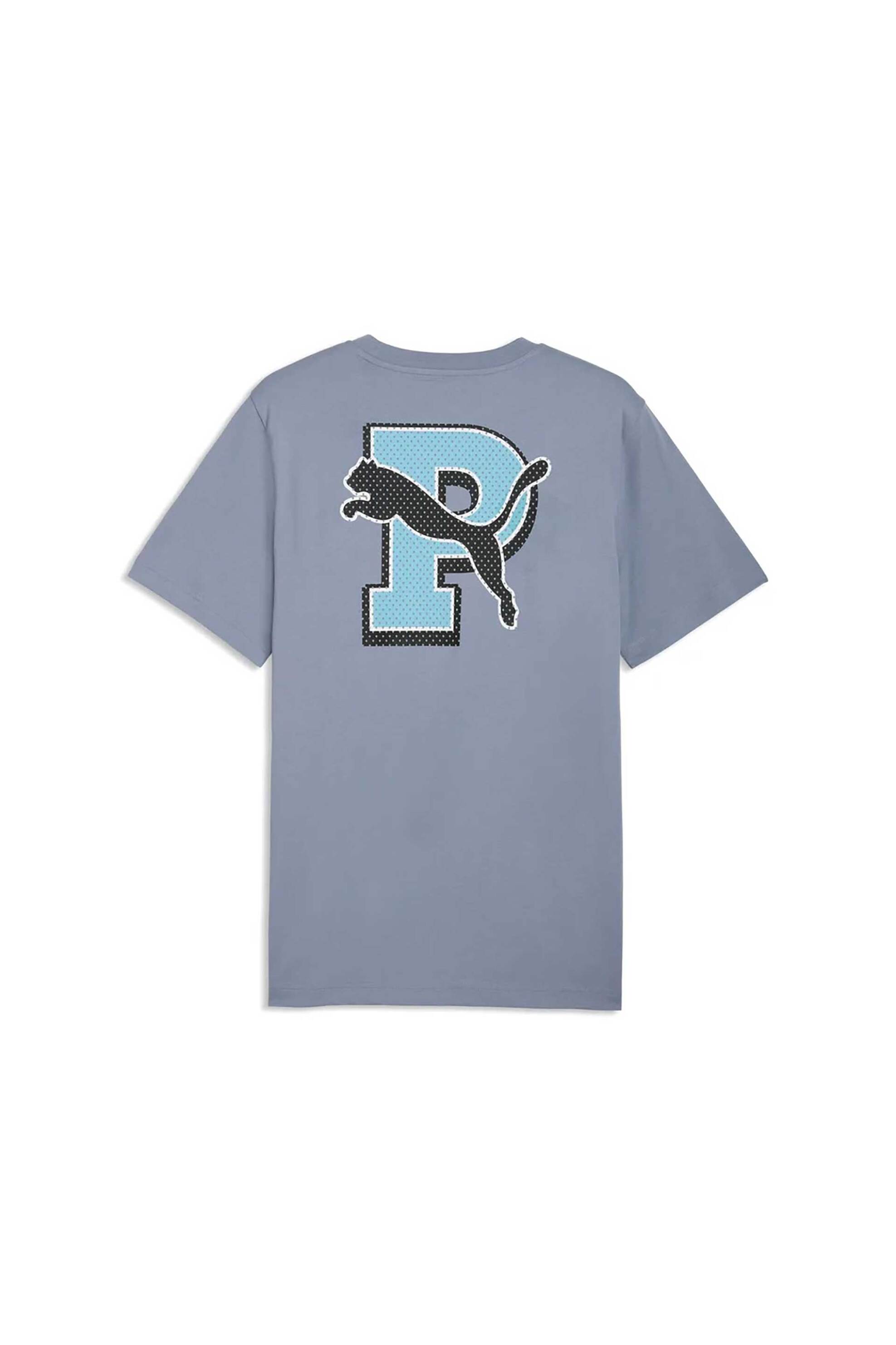 Puma Ανδρικό T-Shirt με Print Regular Fit Graphic Varsity - 691776 Γκρι Γαλάζιο