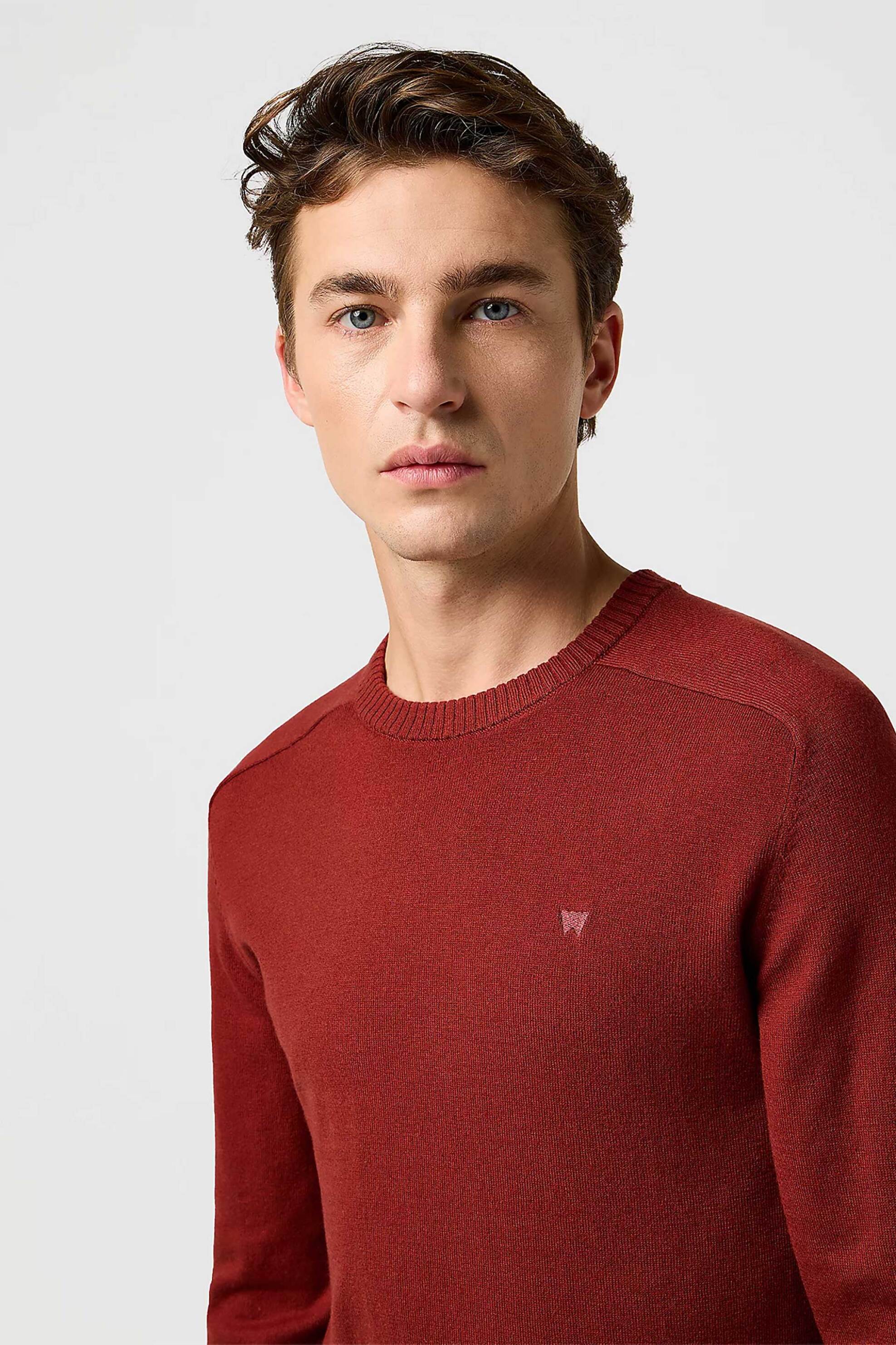 Wrangler® ανδρικό πουλόβερ μονόχρωμο με λογότυπο Regular Fit - 112371537 Κεραμιδί φωτογραφία