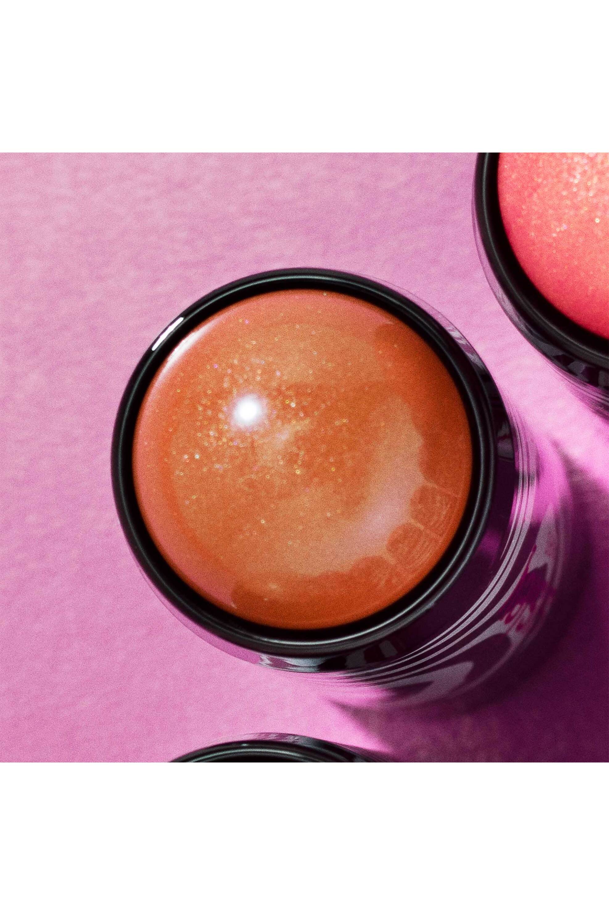 Sisley Phyto-Blush Twist - 187905 N°5 Contour φωτογραφία