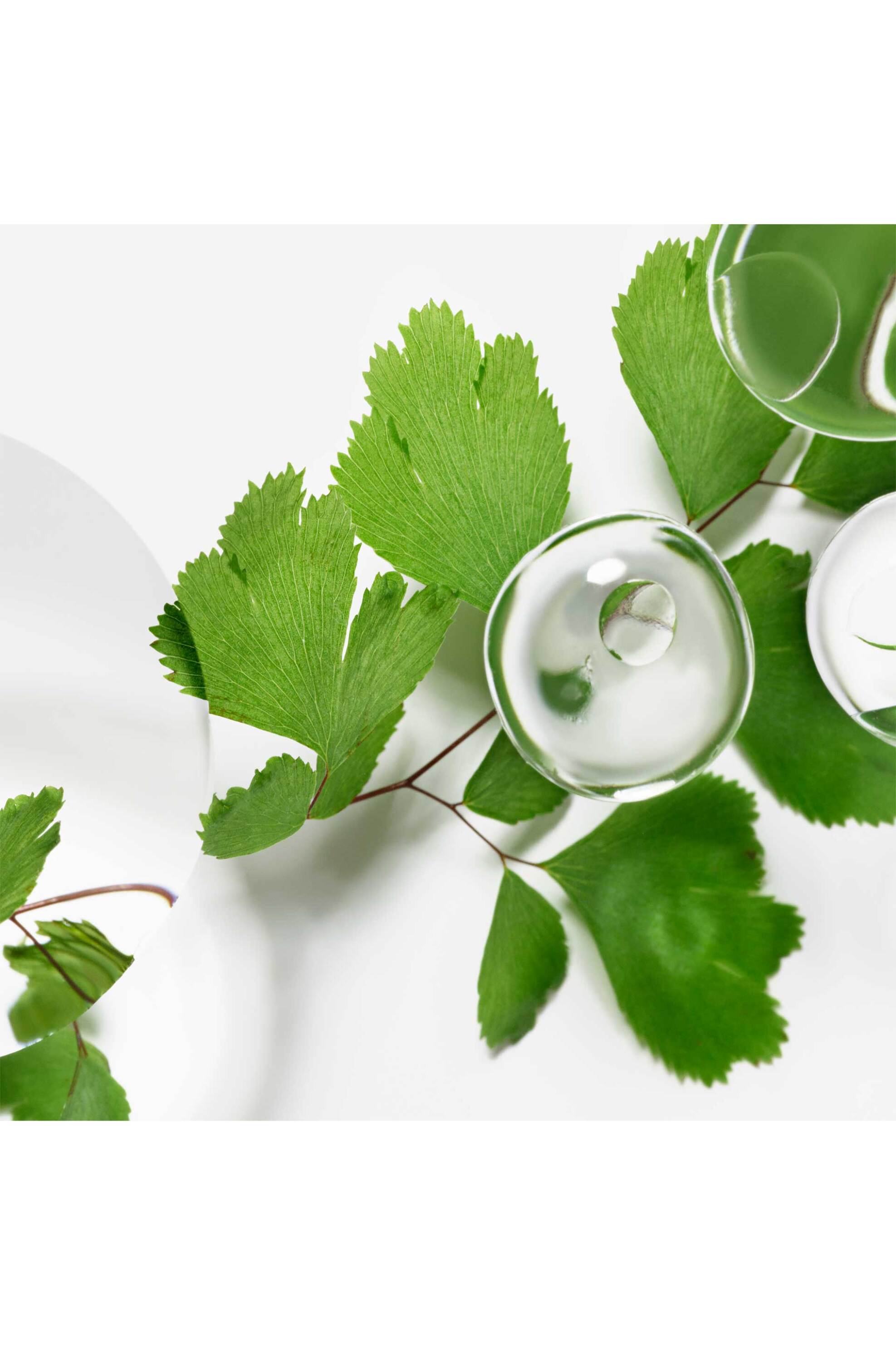 Sisley Ecological Compound Advanced Formula - 114200 φωτογραφία