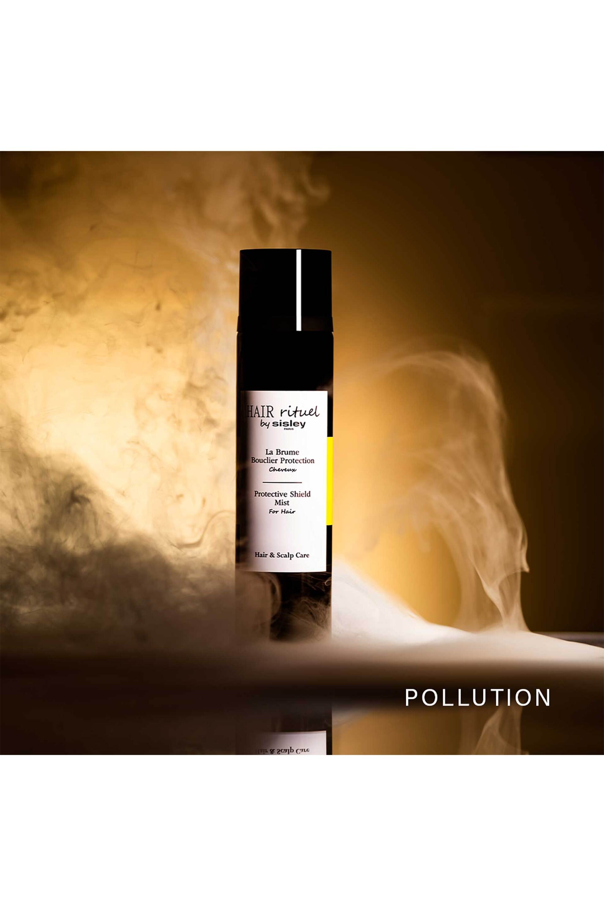 Hair Rituel by Sisley Protective Shield Mist 100 ml - 169400 φωτογραφία
