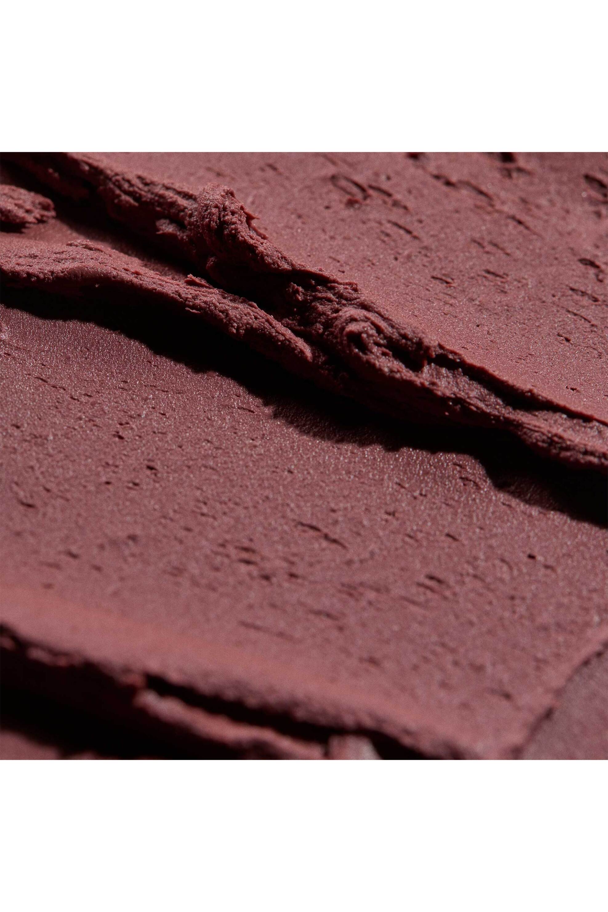 Sisley Phyto-Blush Twist 5 Gr 10 Fig