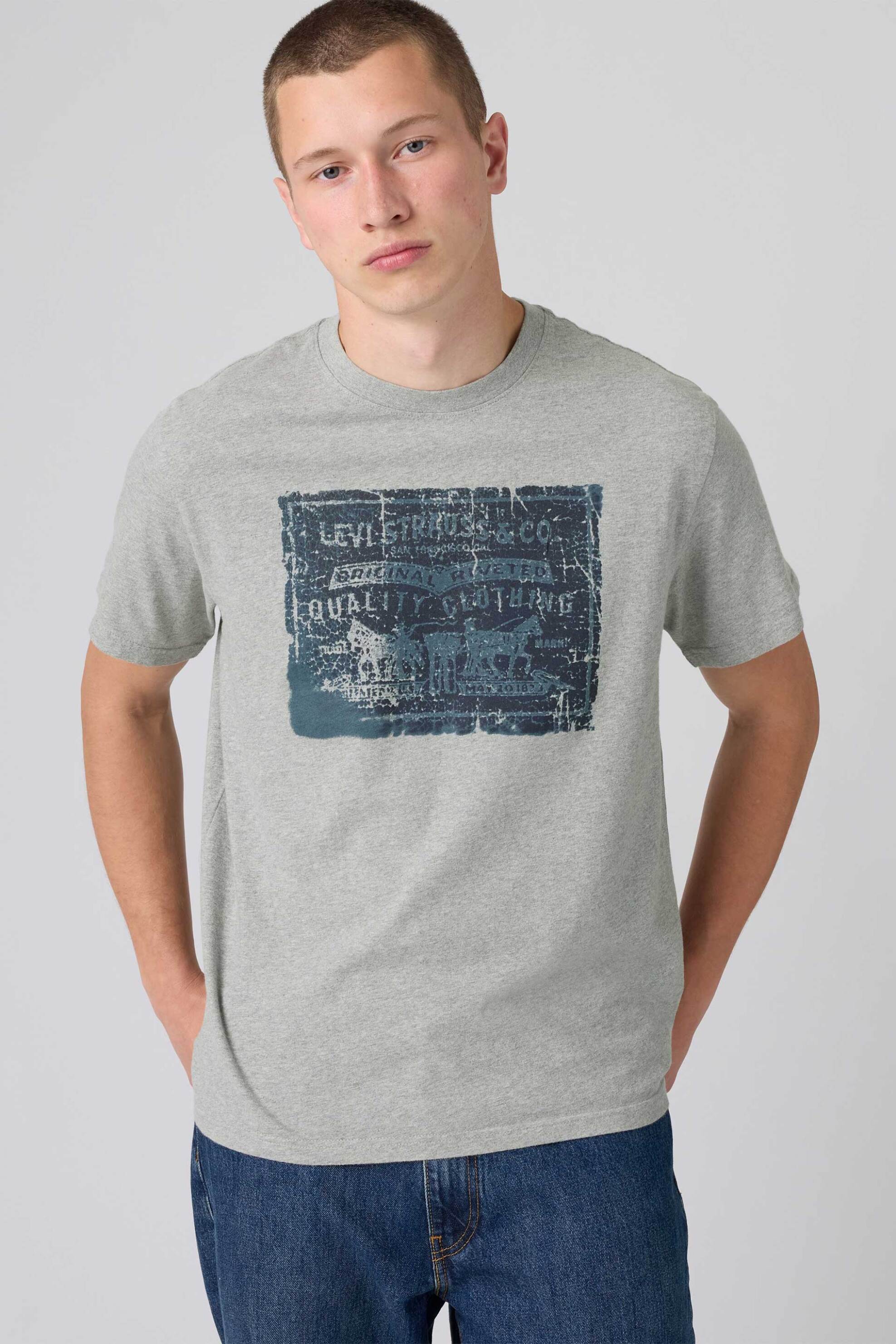 Levi's® ανδρικό T-shirt με print Relaxed Fit "Graphic" - 161432610 Γκρι