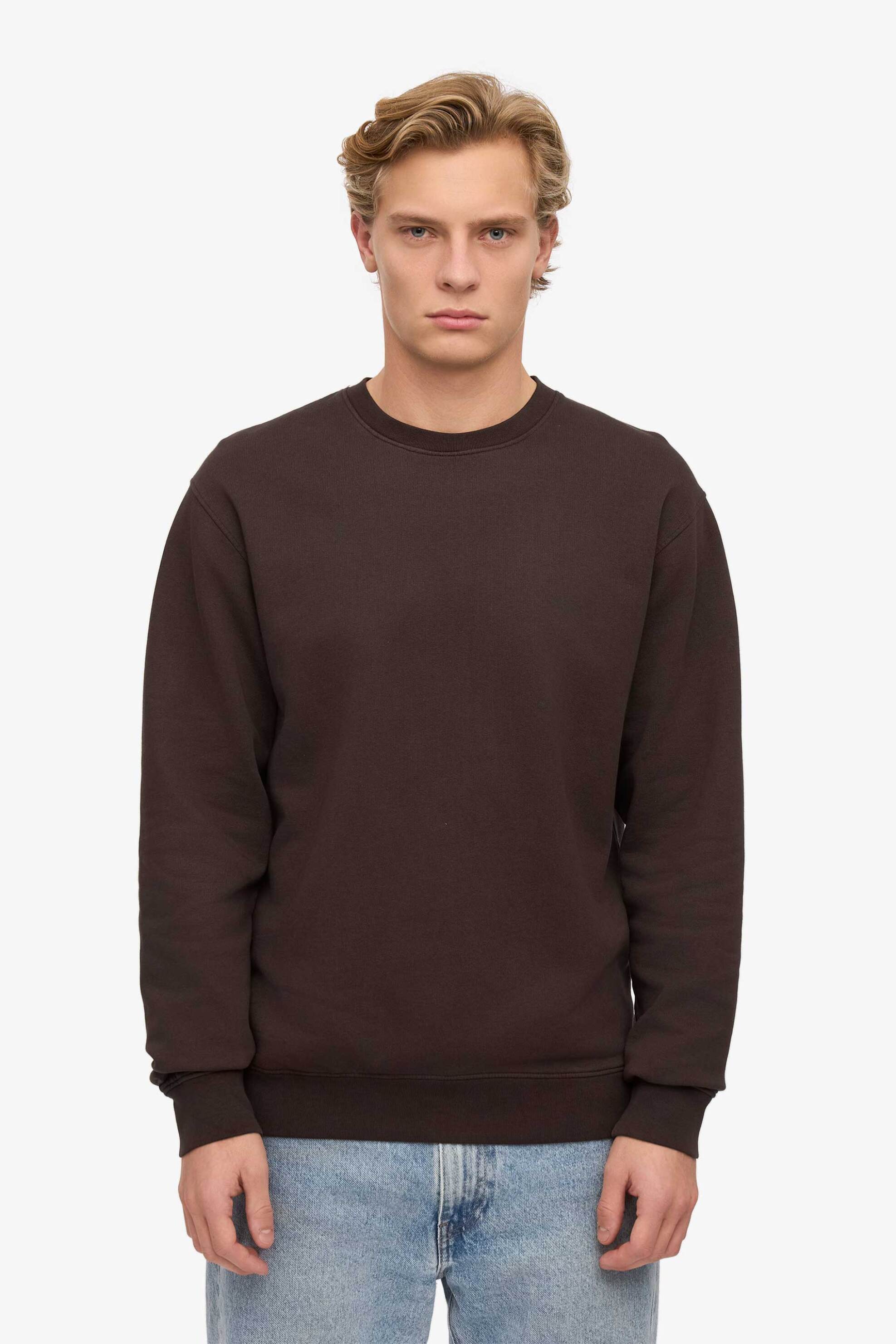 Colorful Standard ανδρική μπλούζα φούτερ μονόχρωμη Regular Fit - CS1005 Καφέ