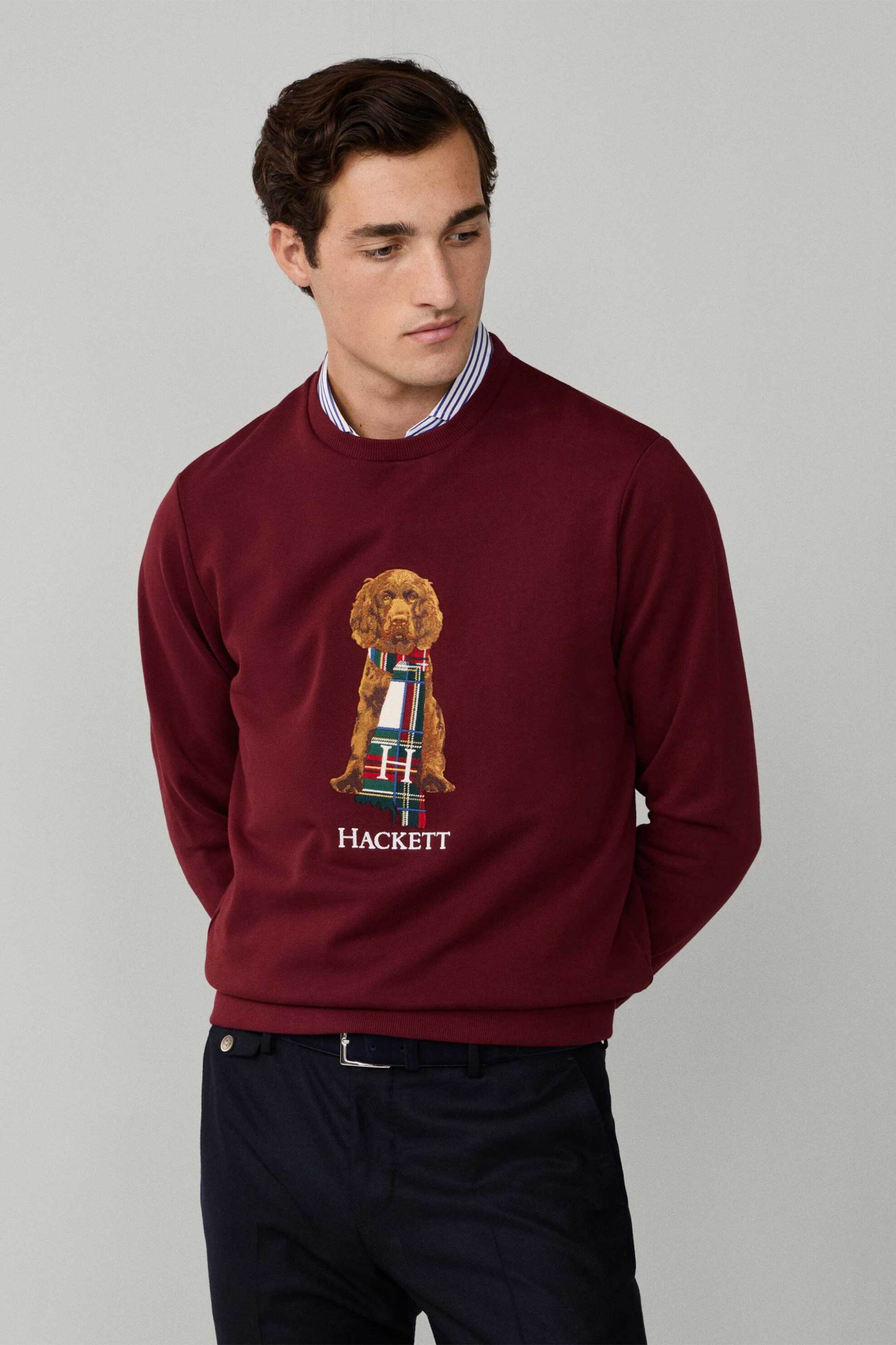 Hackett ανδρική μπλούζα φούτερ με logo print "Harry" - HM5800015 Μπορντό