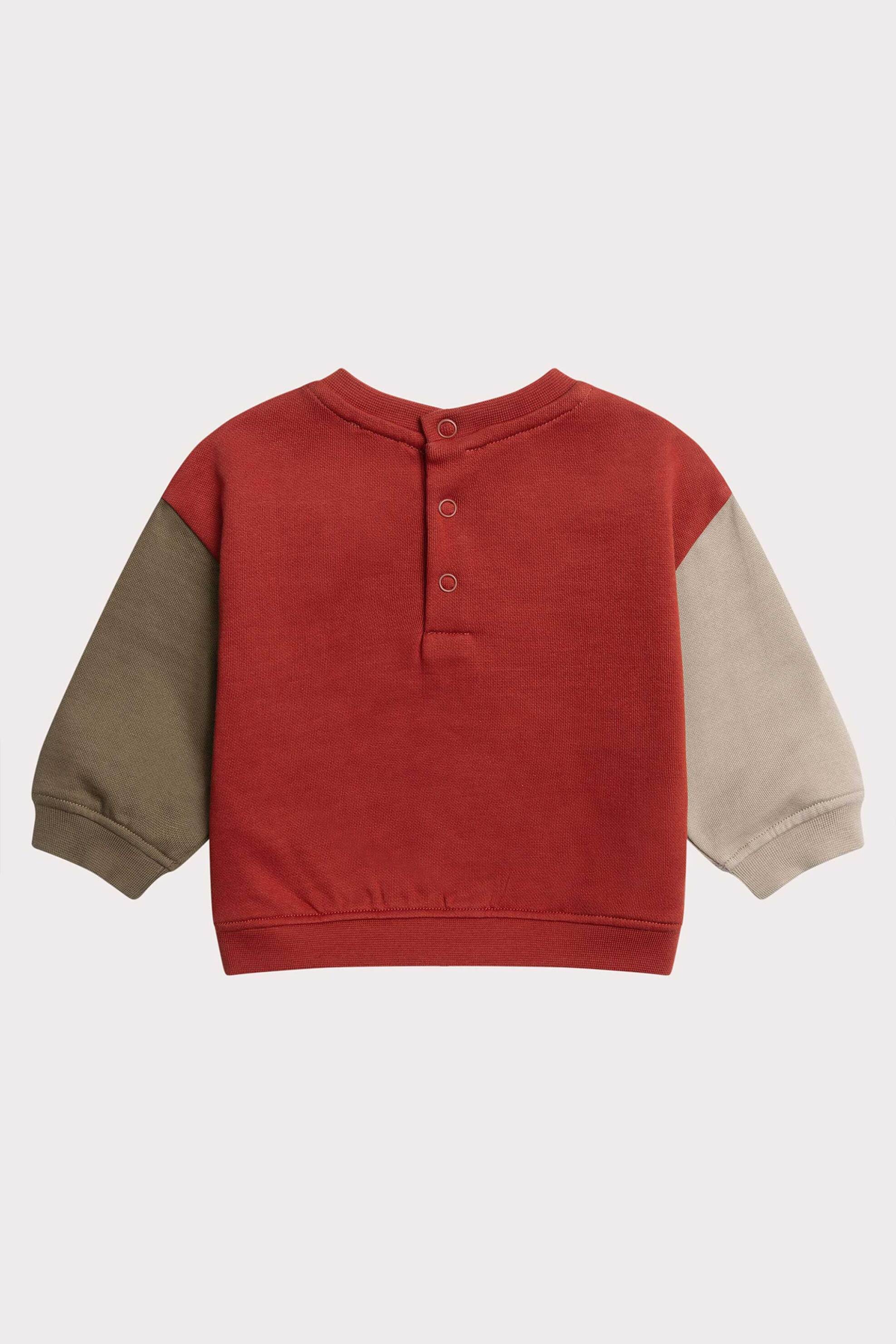 DPAM βρεφική μπλούζα φούτερ με μπουκλέ σχέδιο ζωάκι - 364534 Κεραμιδί φωτογραφία