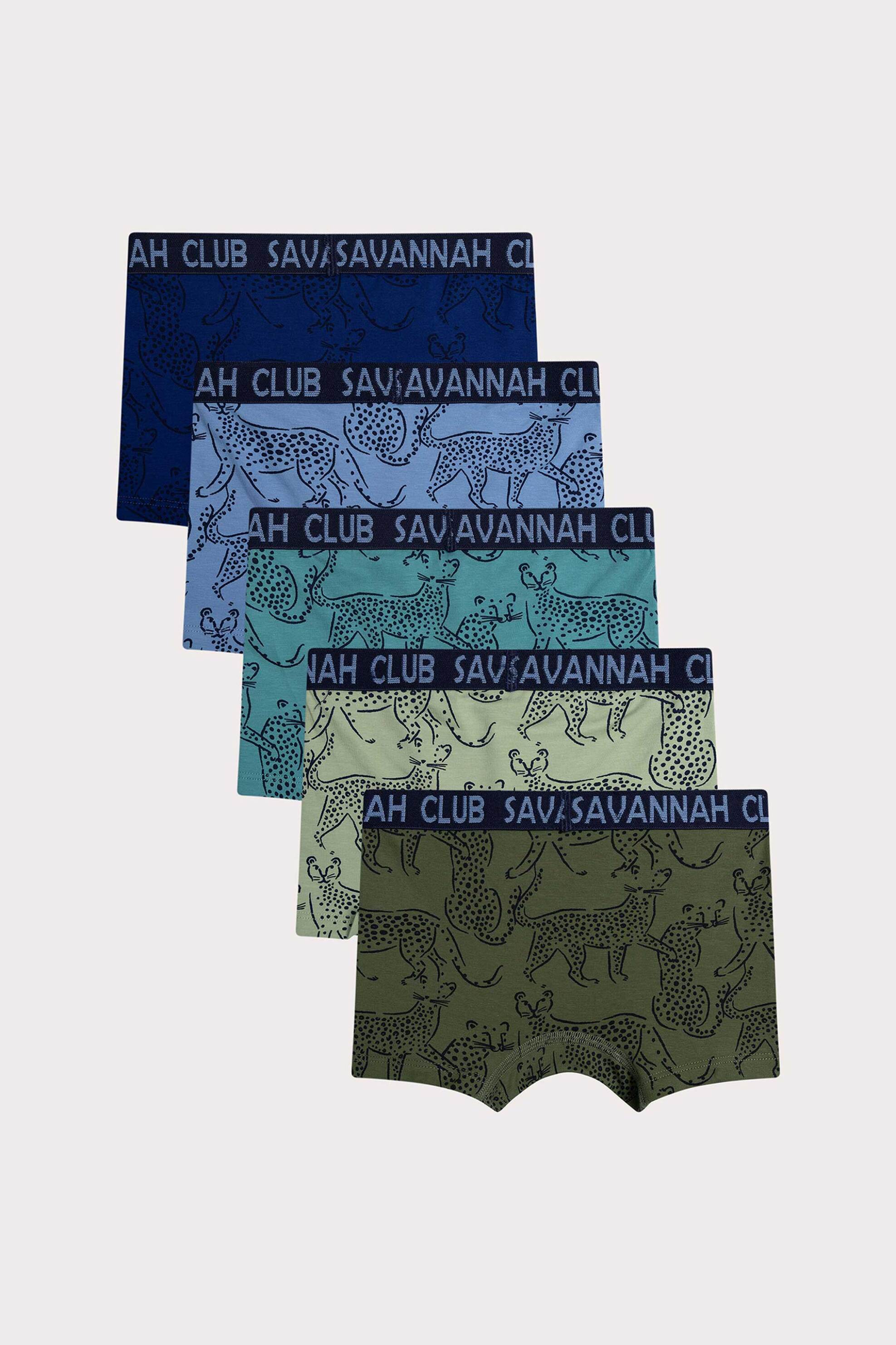 DPAM σετ παιδικά εσώρουχα σε διάφορα σχέδια και χρώματα (5 τεμάχια) - 366014 Πολύχρωμο φωτογραφία