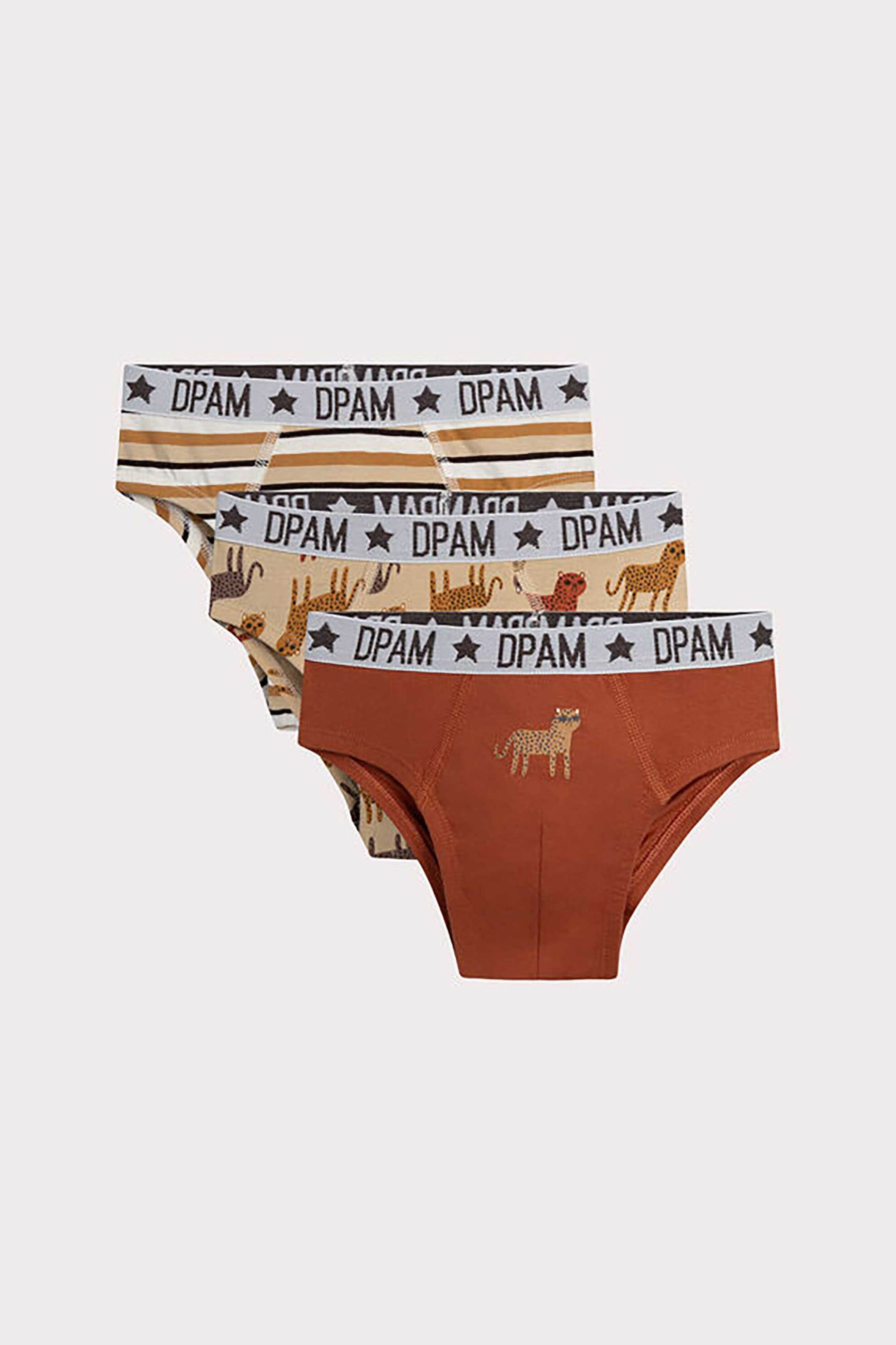 DPAM DPAM σετ παιδικά εσώρουχα σε διάφορα σχέδια και χρώματα (3 τεμάχια) - 366018 Καφέ