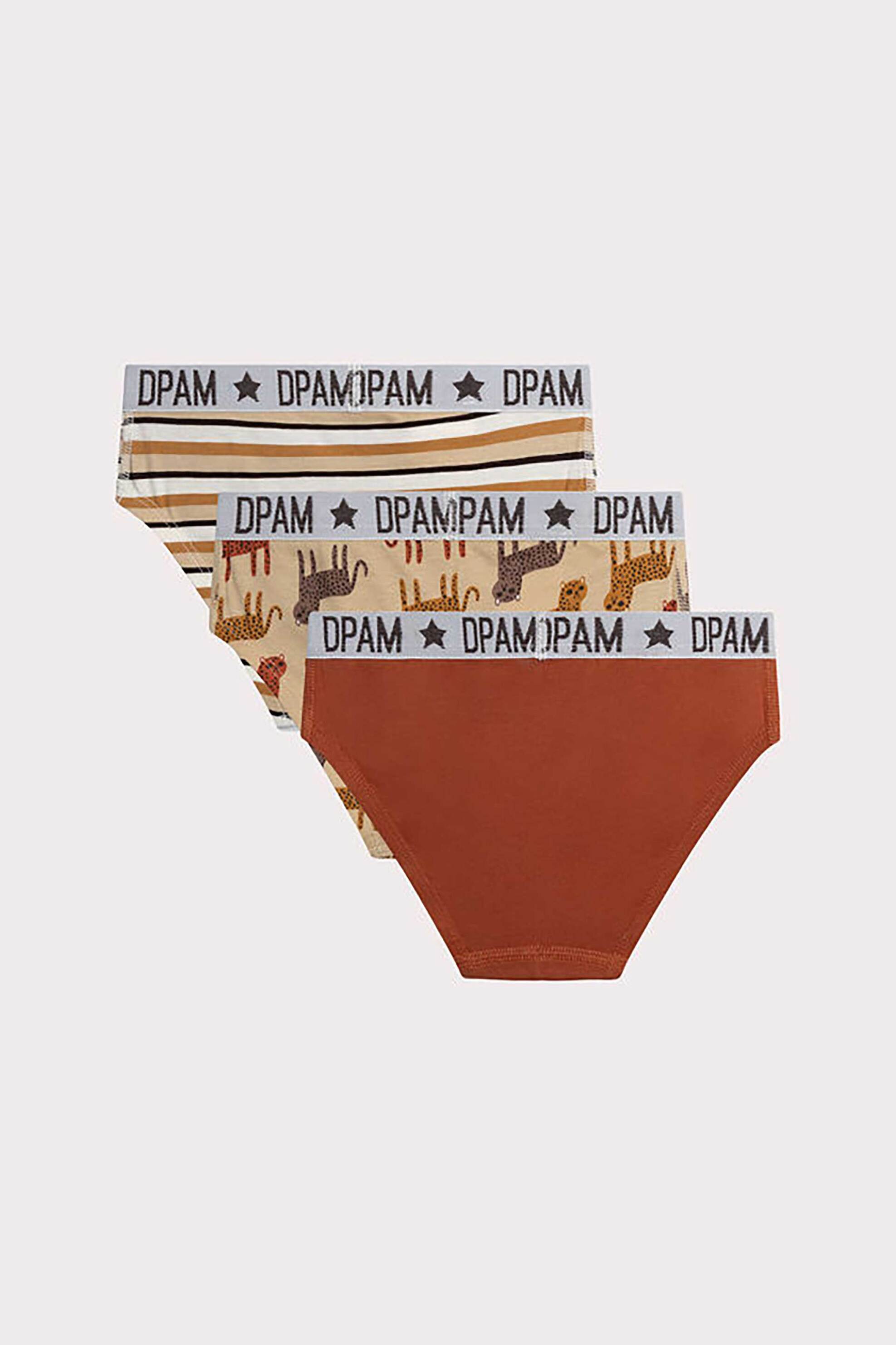 DPAM σετ παιδικά εσώρουχα σε διάφορα σχέδια και χρώματα (3 τεμάχια) - 366018 Καφέ φωτογραφία