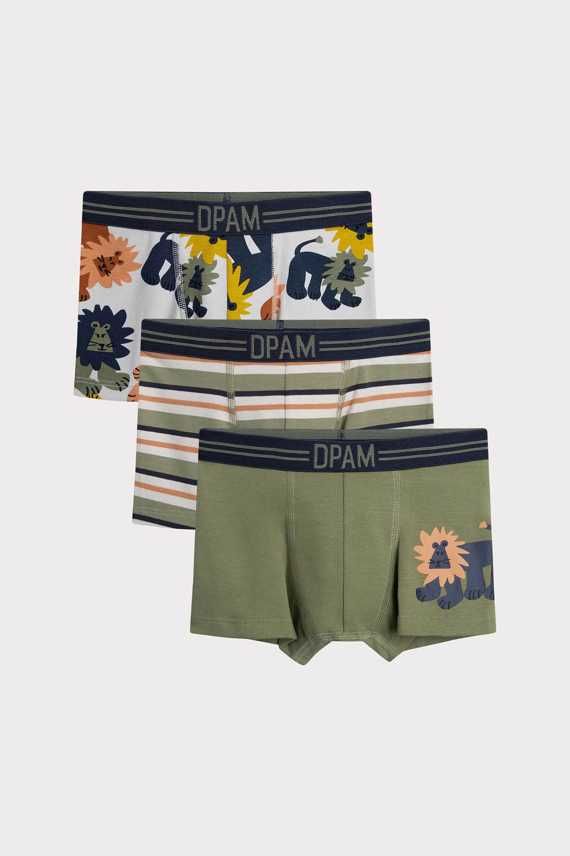 DPAM DPAM σετ παιδικά εσώρουχα σε διάφορα σχέδια και χρώματα (3 τεμάχια) - 366037 Χακί