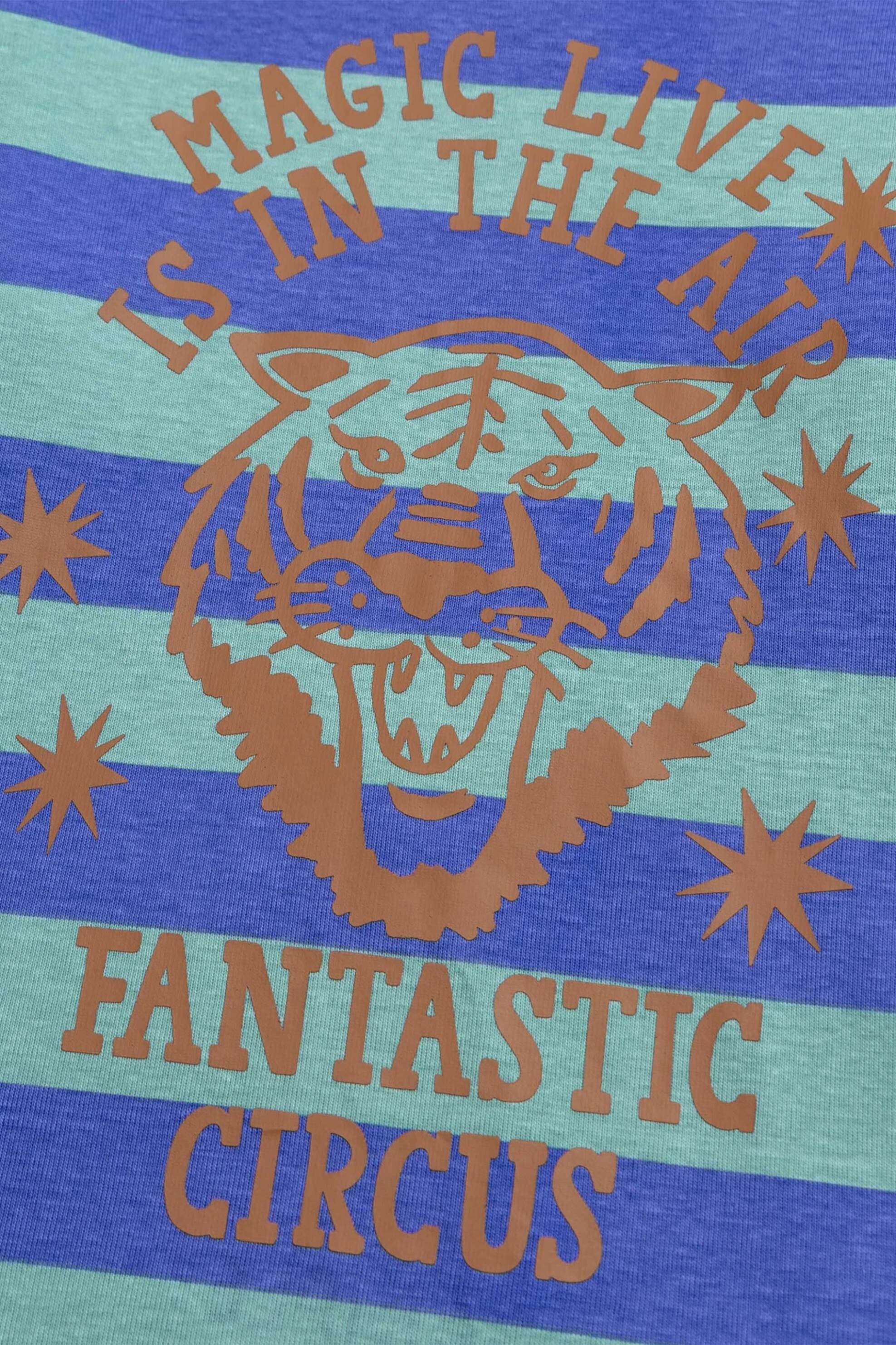 DPAM παιδική μπλούζα για αγόρια "Stripped Tiger" - 370361 Πράσινο φωτογραφία