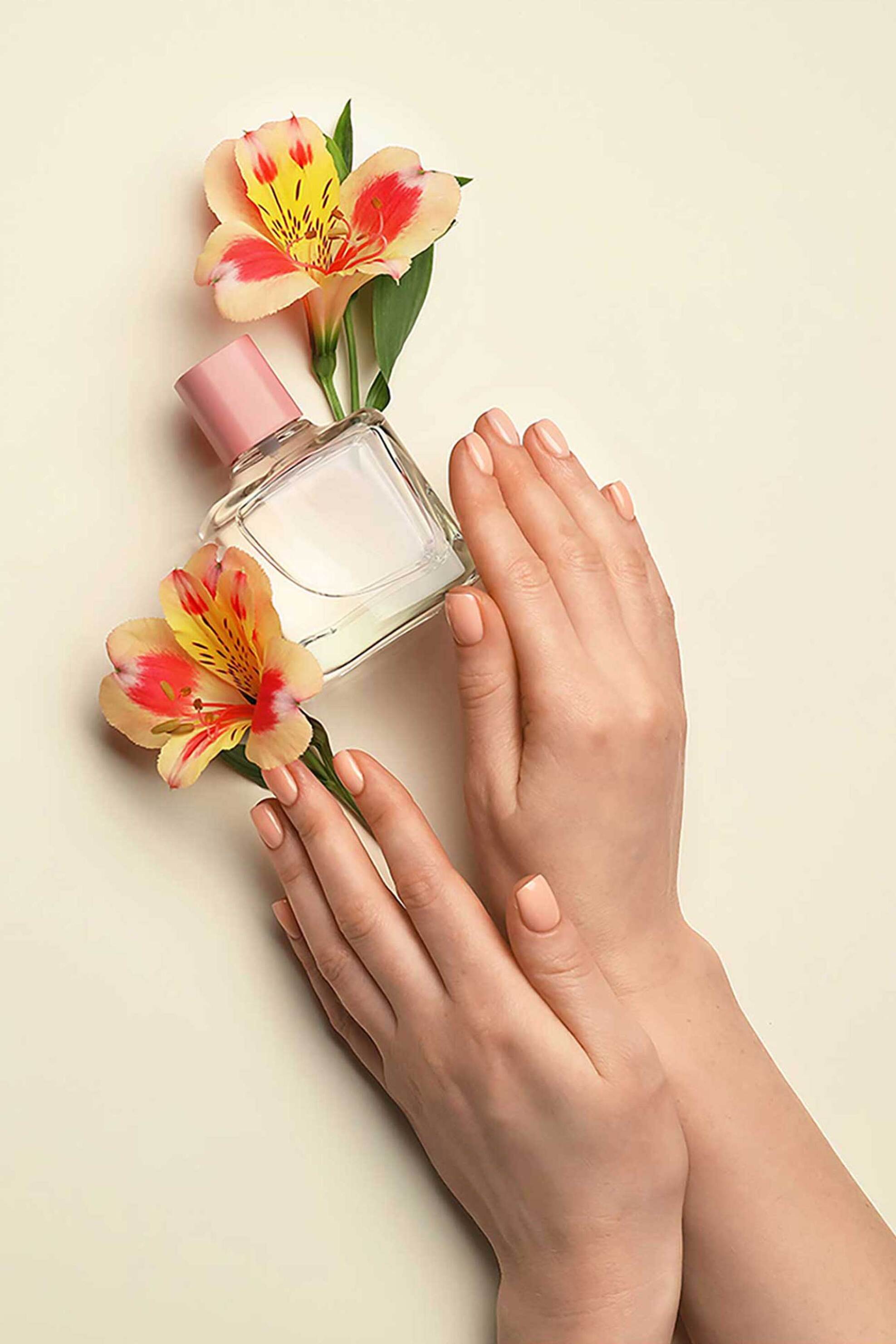Muse Society Nail Gel Polish Tender Peach #008 10 ml - P24A008N Tender Peach #008 φωτογραφία