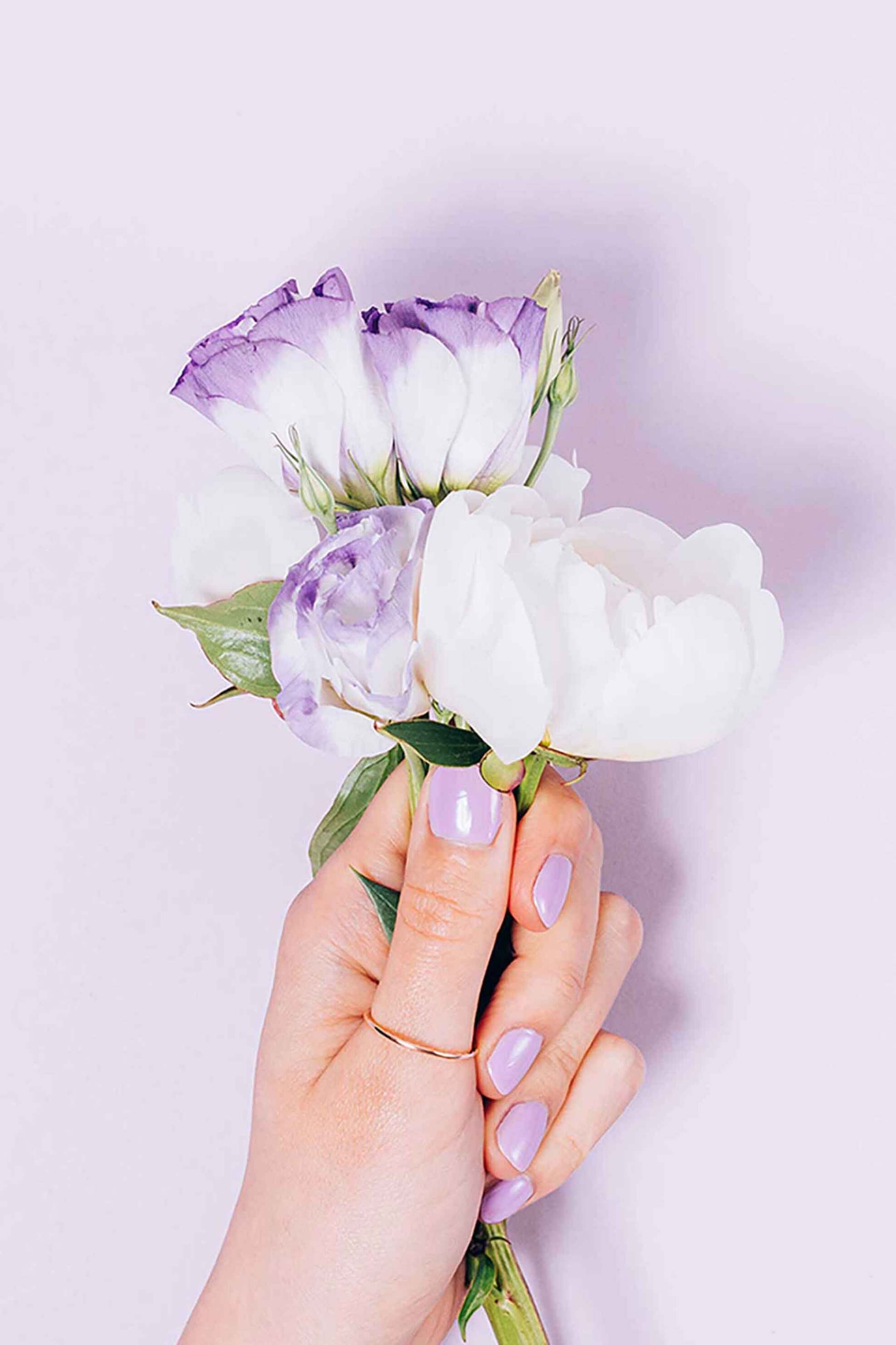 Muse Society Nail Gel Polish Lilac Dream #013 10 ml - P24A013N Lilac Dream #013 φωτογραφία