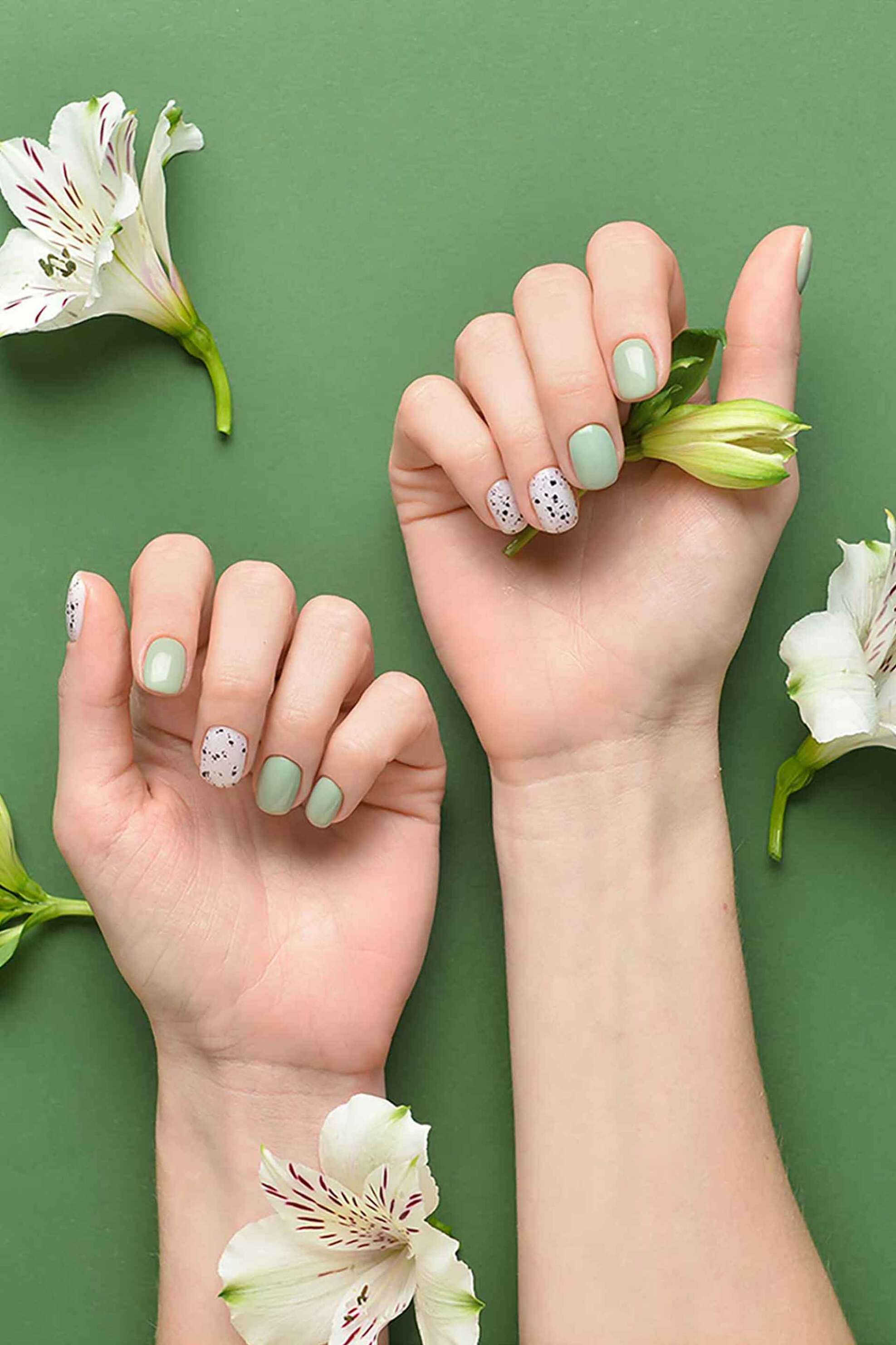 Muse Society Nail Gel Polish Soft Sage #014 10 ml - P24A014N Soft Sage #014 φωτογραφία