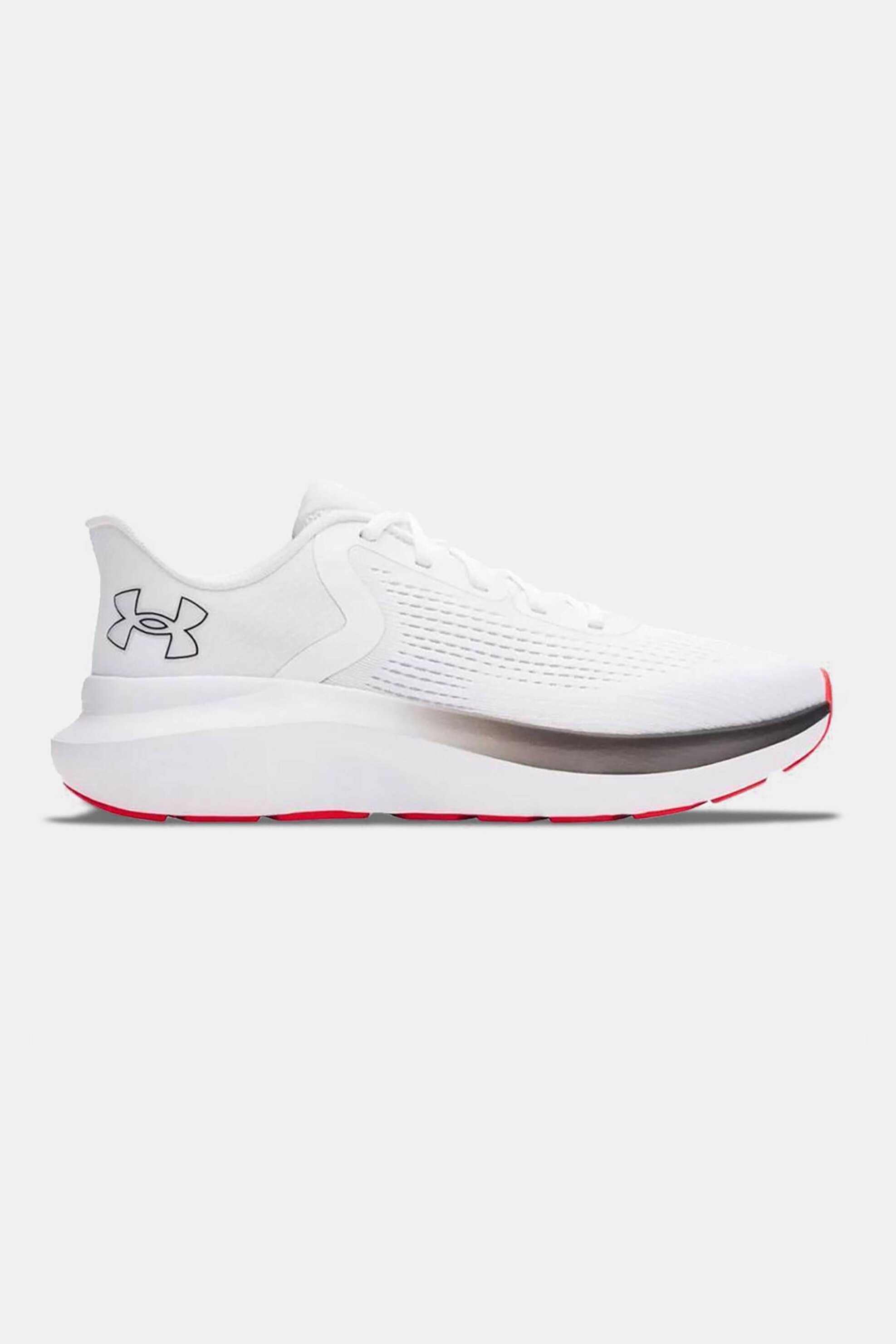 UNDER ARMOUR Under Armour ανδρικά αθλητικά παπούτσια running "Charged Rogue 5" - 3028256 Λευκό