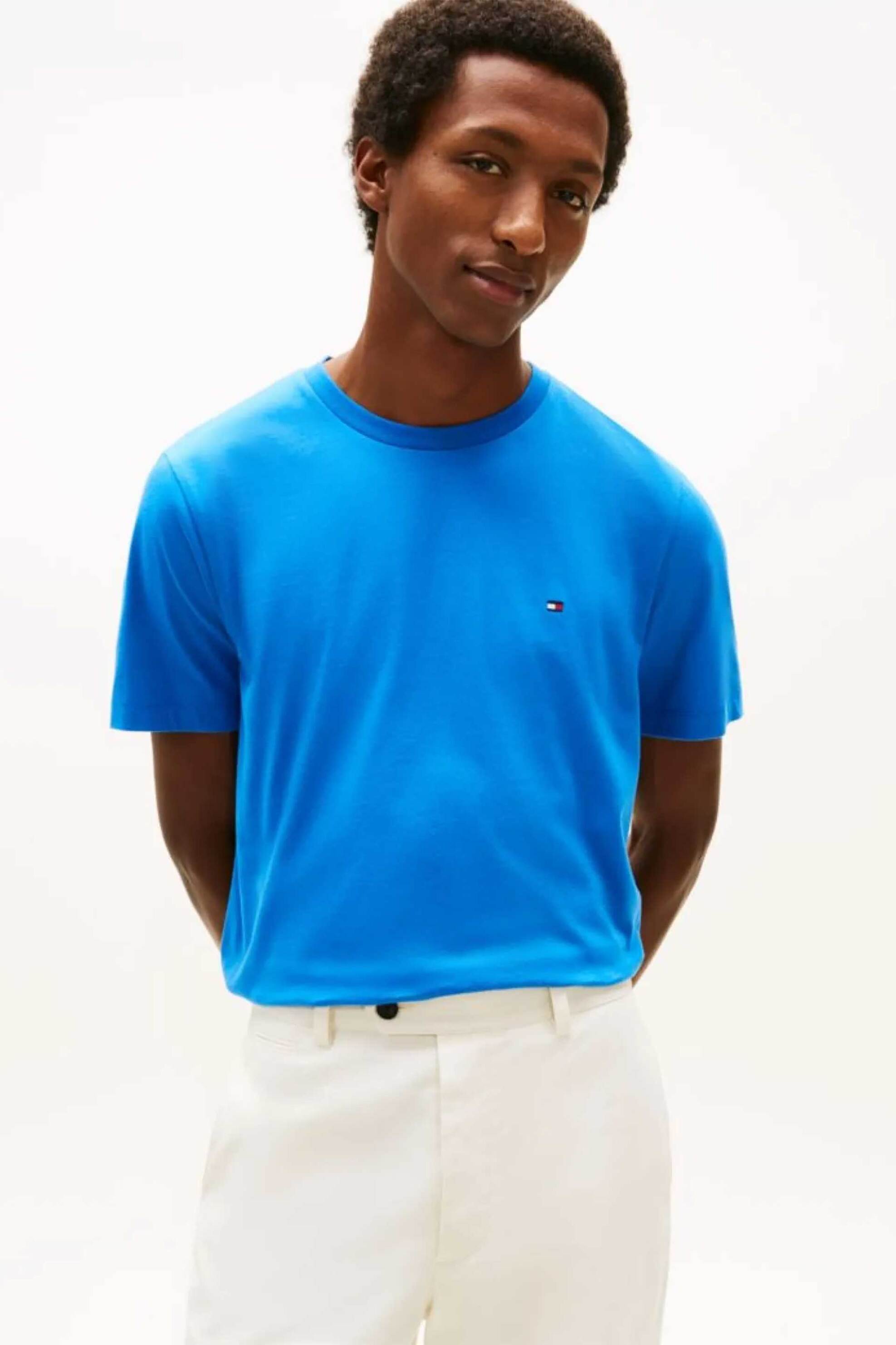 Tommy Hilfiger ανδρικό T-shirt με λογότυπο Regular Fit - MW0MW39995 Μπλε