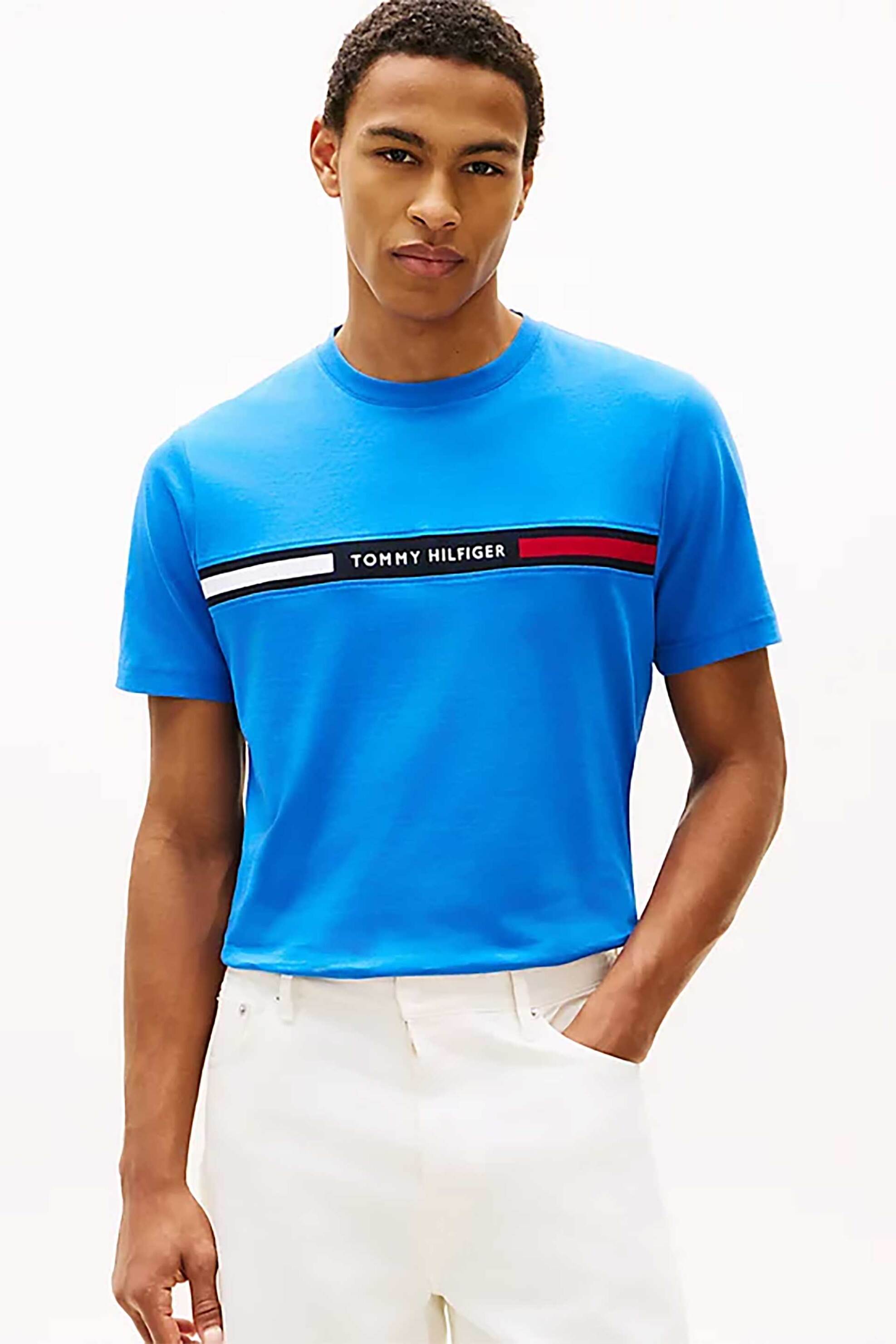 Tommy Hilfiger ανδρικό T-shirt με λογότυπο Regular Fit - MW0MW36498 Μπλε