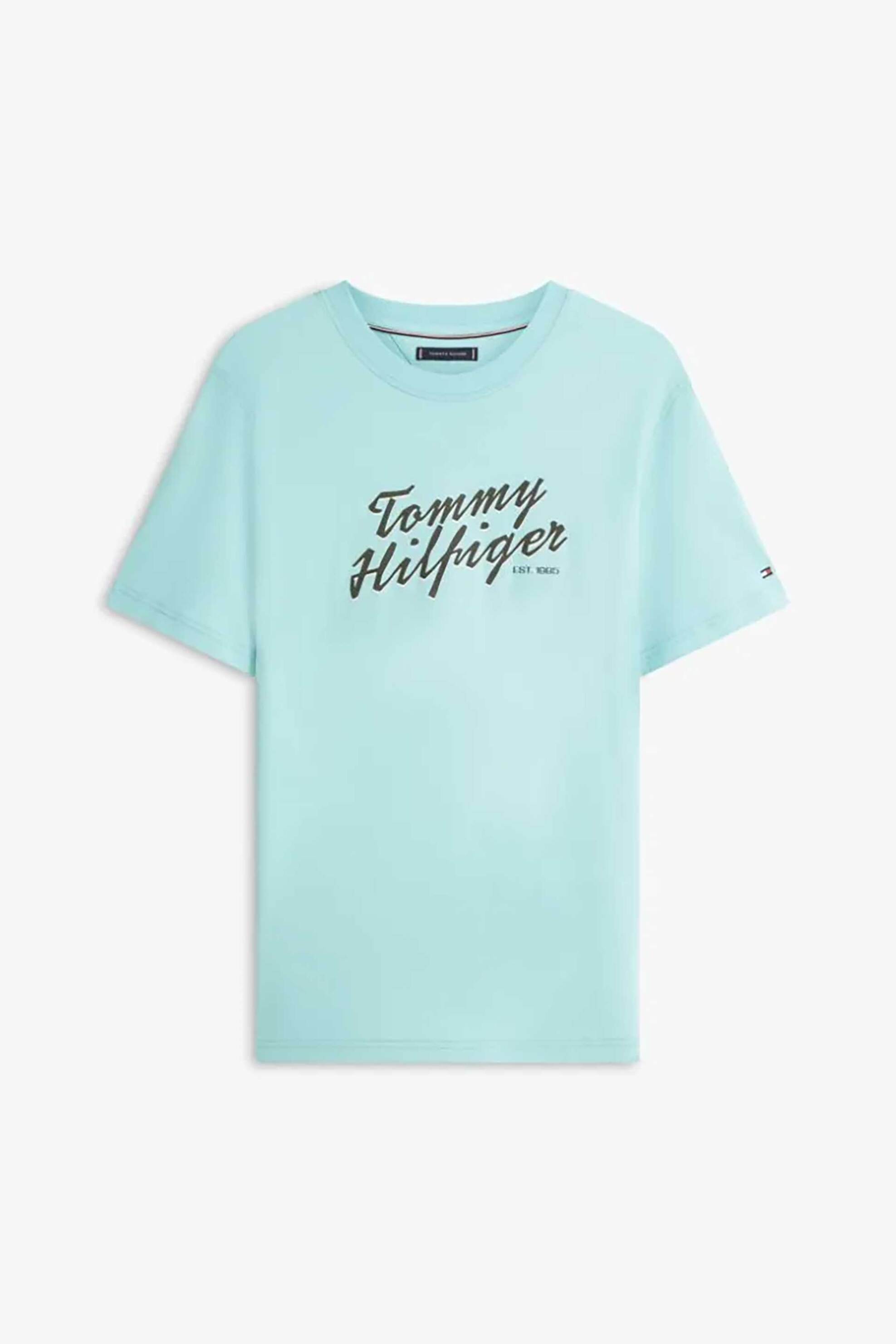 Tommy Hilfiger Ανδρικό T-Shirt με Λογότυπο Regular Fit - Mw0Mw42385 Γαλάζιο