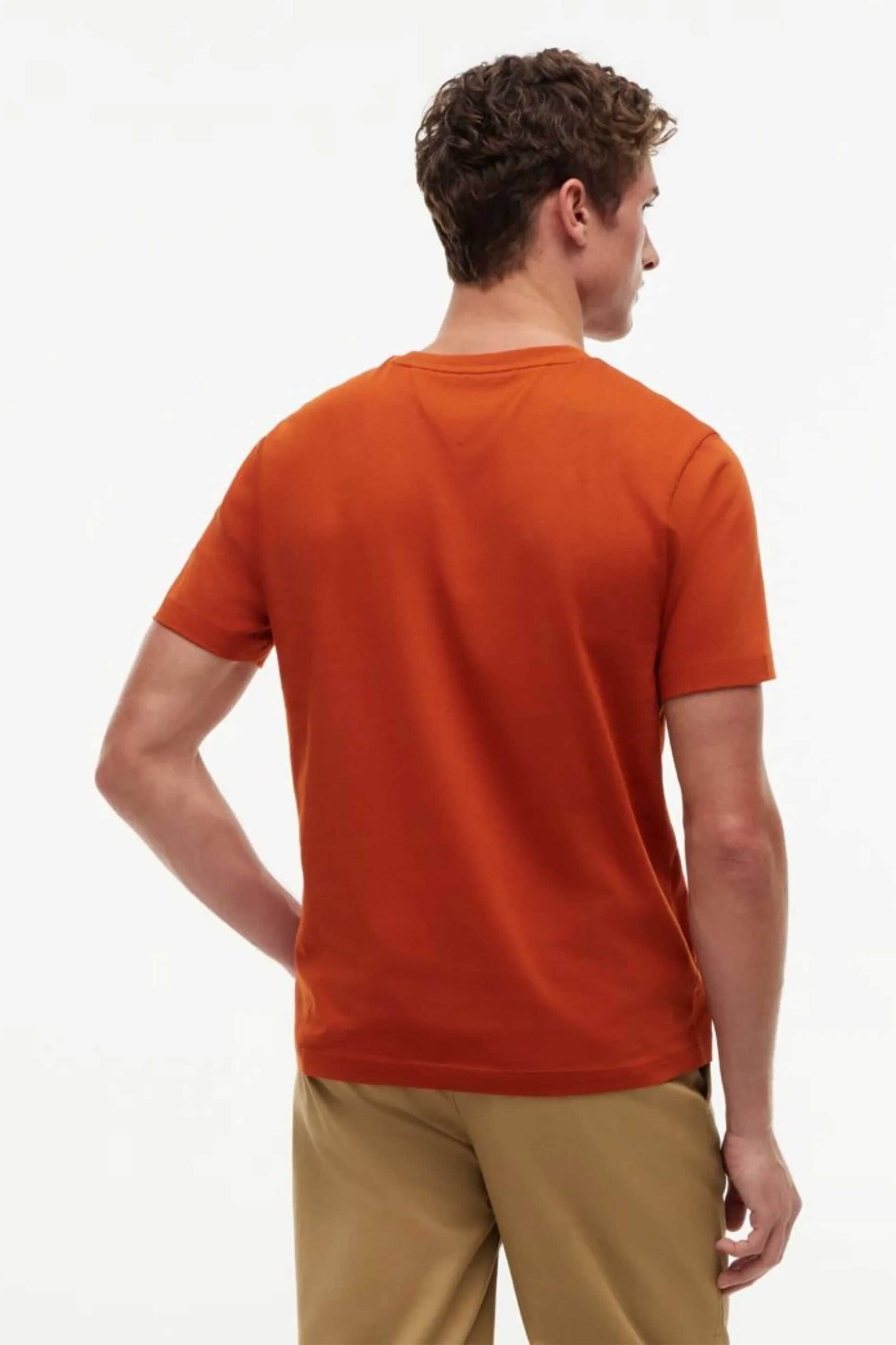 Tommy Hilfiger Ανδρικό T-Shirt με Λογότυπο Regular Fit - Mw0Mw43224 Κεραμιδί