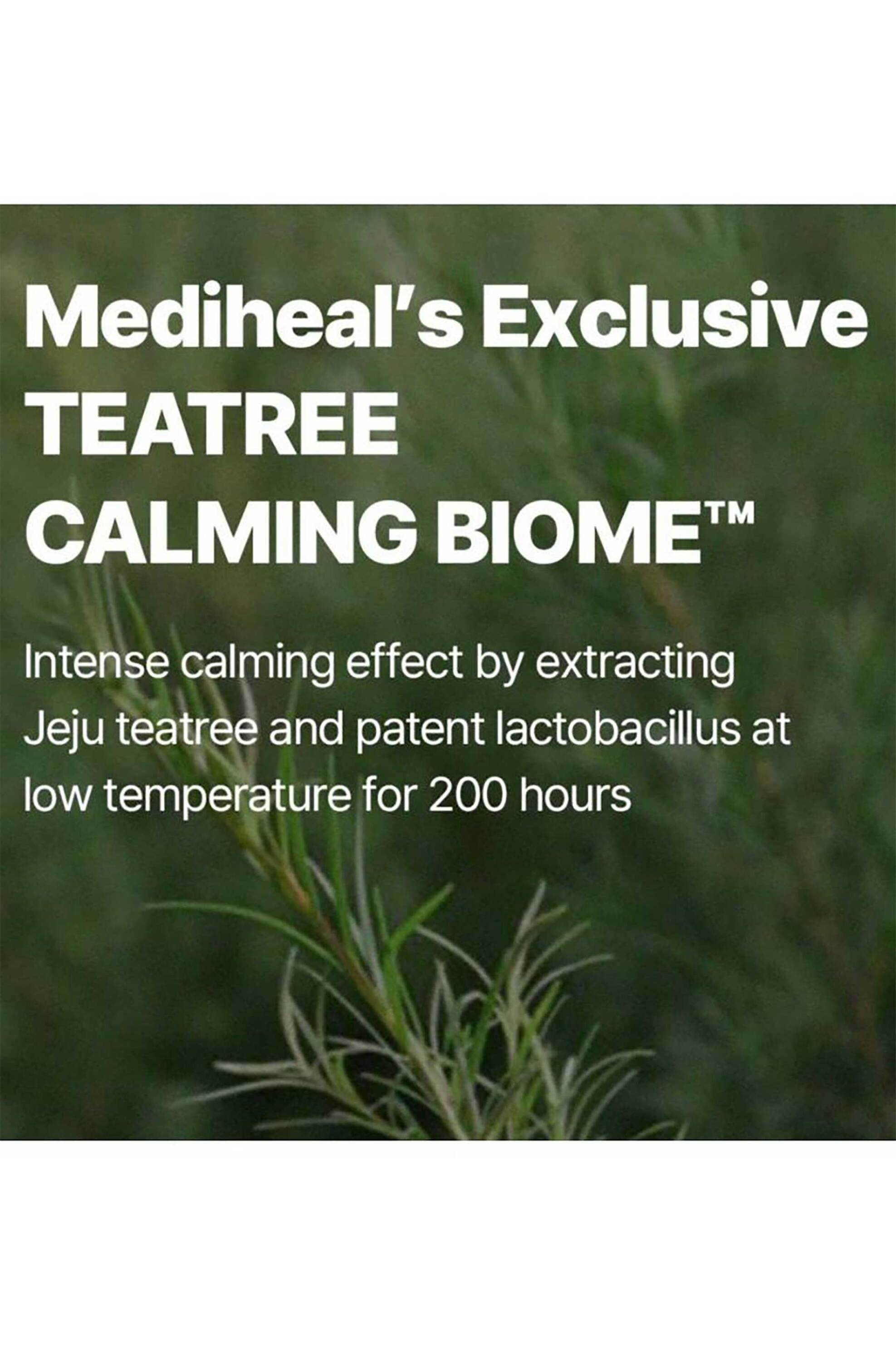 Mediheal Teatree Nude Gel Mask - Καταπραϋντική Μάσκα Με Τειόδεντρο Και Προβιοτικά 30 ml - 8809615058428 φωτογραφία