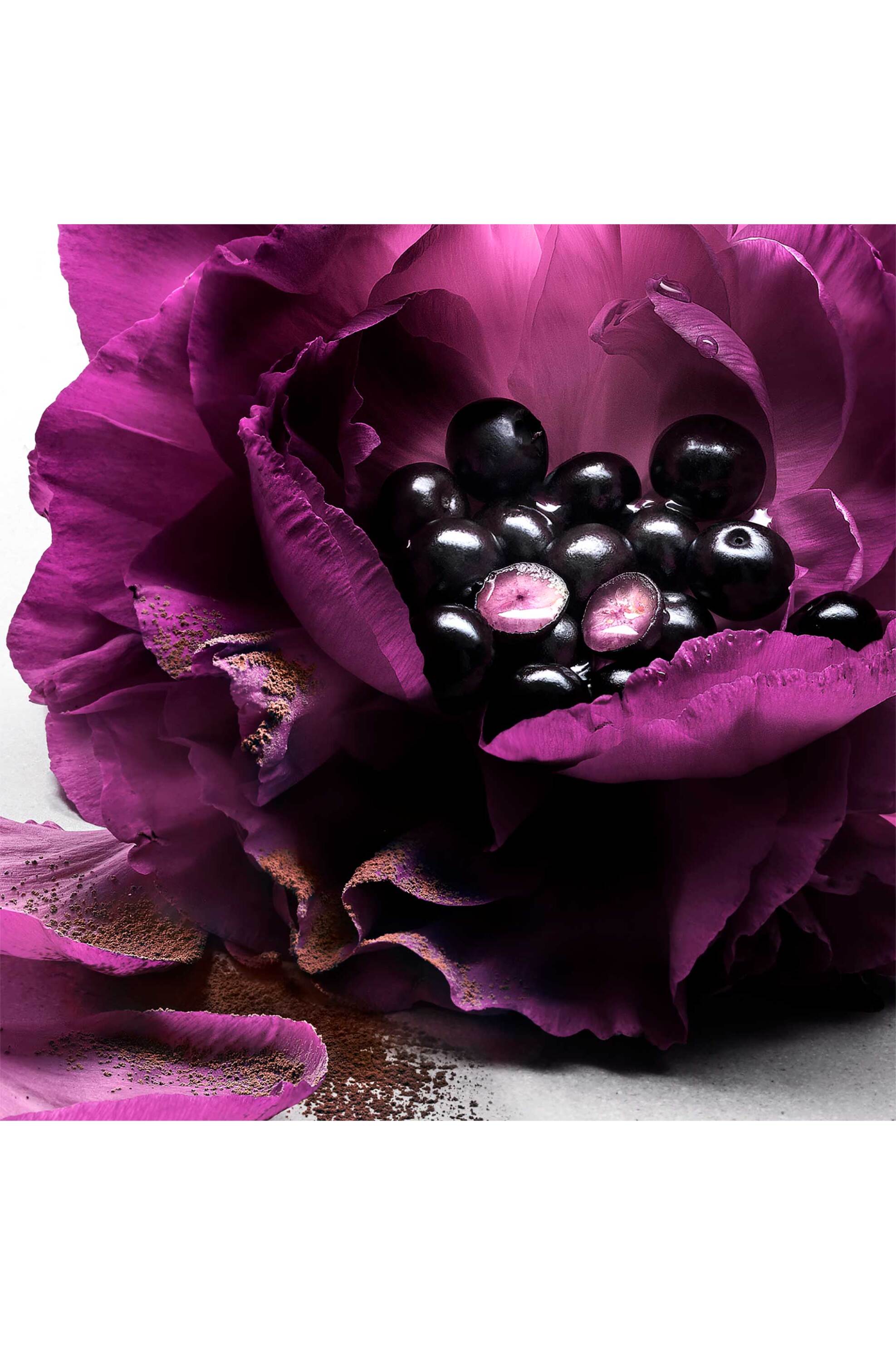 Lancôme La Nuit Trésor - Le Parfum φωτογραφία