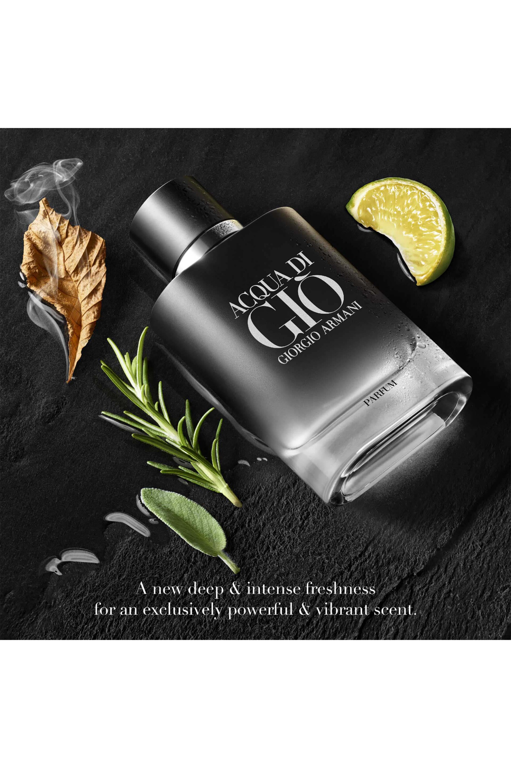 Armani Acqua di Giò Profumo Eau de Parfum Refill 150 ml - 3614273906319 φωτογραφία