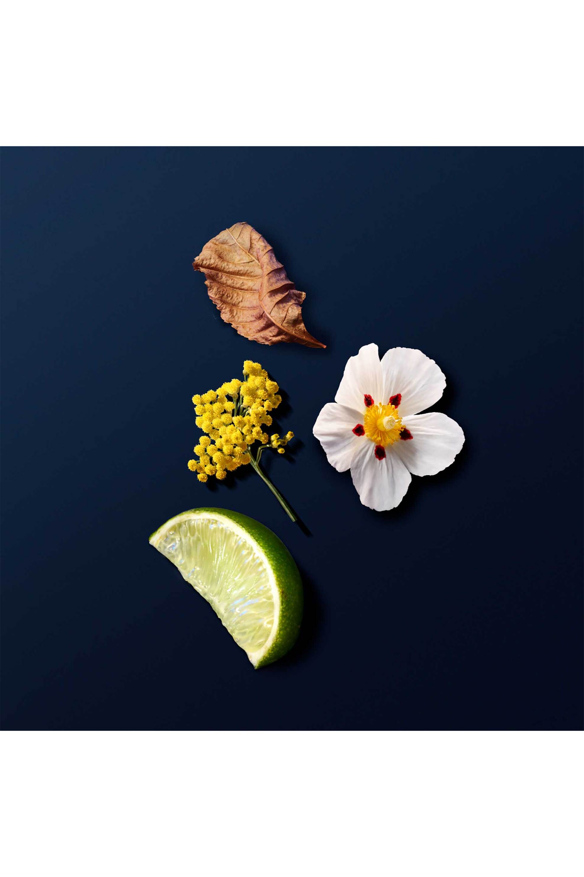 Armani Acqua di Gio Profondo Parfum - 3614273953696 φωτογραφία