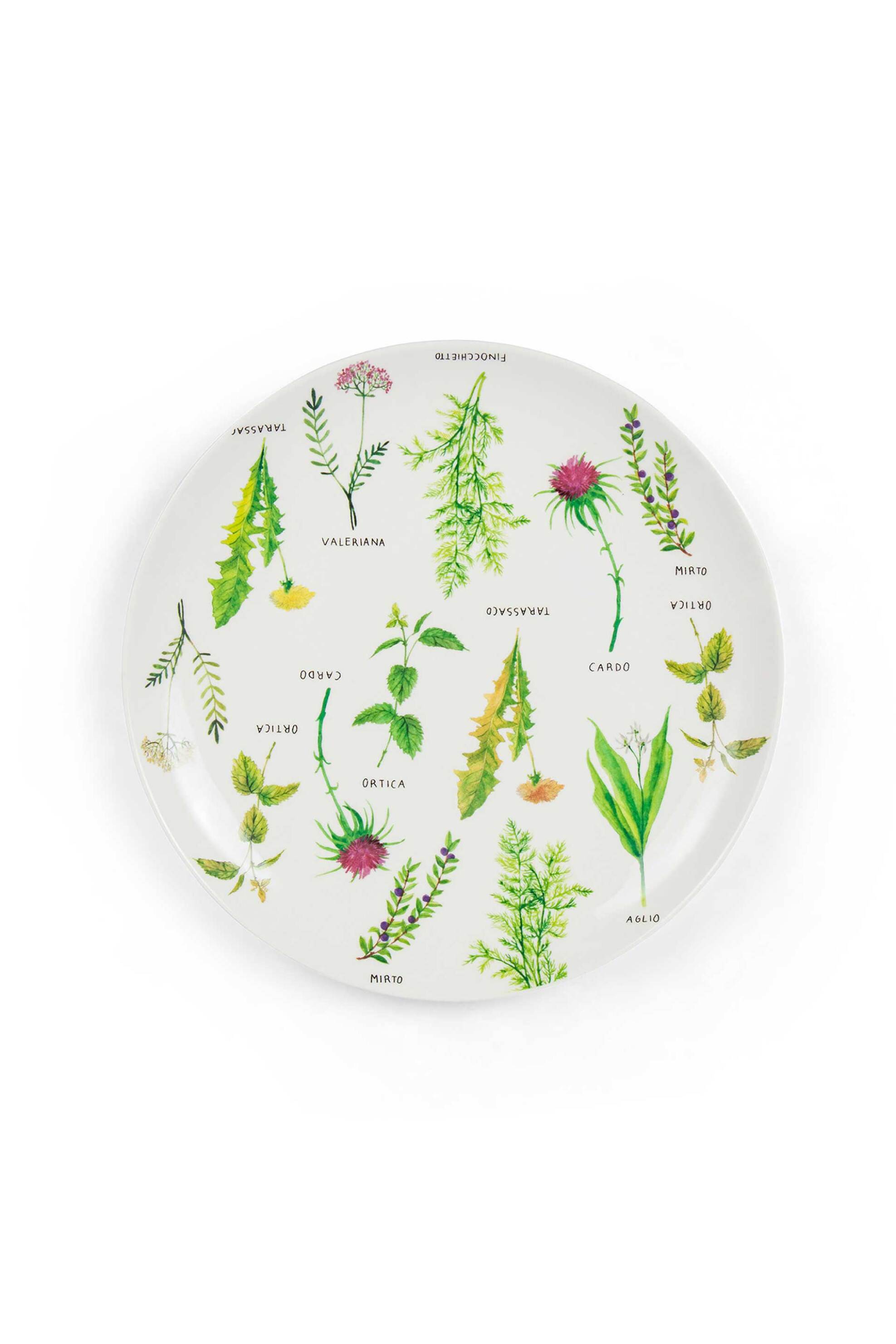 Home > ΚΟΥΖΙΝΑ > Πιάτα & Σερβίτσια Coincasa πιάτο φαγητού από πορσελάνη με botanical motif 30 cm - 007376892 Λευκό